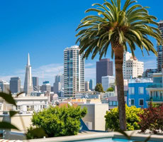 Water Cottage San Francisco